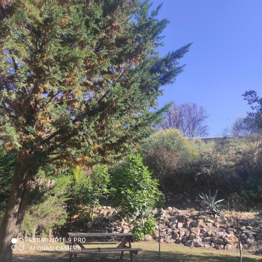 Villa Casaleno Gite La Cigale Avec Wi-Fi Millas Dış mekan fotoğraf